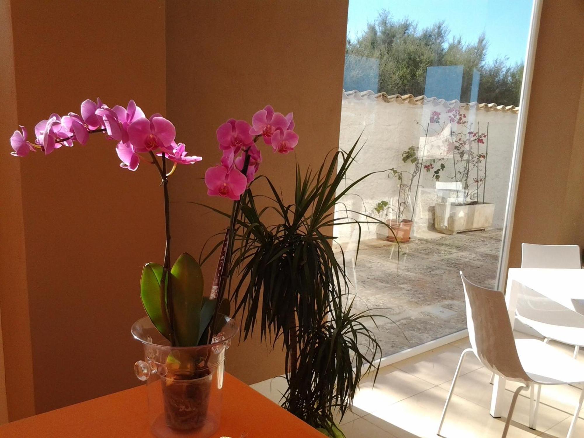 Suitebeach B&B And Resort Marsala Exterior photo